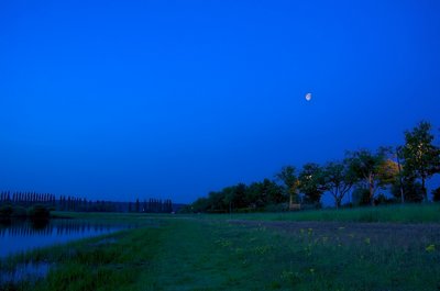 Zénitude bleu_6817758621_l.jpg